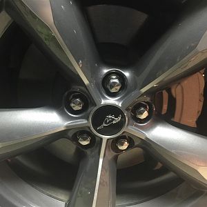 Finished installing GT front brakes