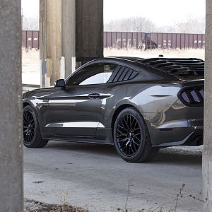 2016 02 20 2015 Mustang 005