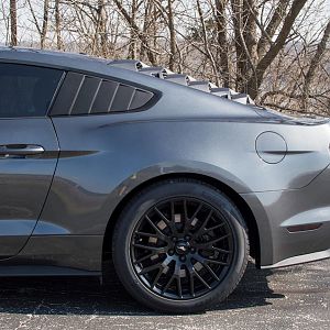 2016 02 20 2015 Mustang 013