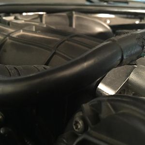 touches intake
