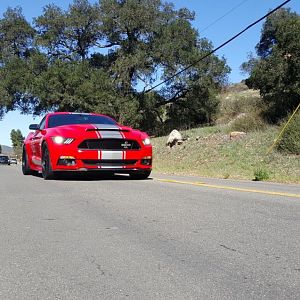 Socal Meet & Cruise #6: Supercar Sunday & Mulholland Hwy - Feb 21, 2016