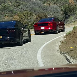 Socal Meet & Cruise #6: Supercar Sunday & Mulholland Hwy - Feb 21, 2016