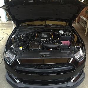JLT Performance, Ford Performance, Steeda Autosports, LundRacing, Bassani Exhaust, Moroso, Diode Dynamics, Anchor Room, and a bunch of custom paint. M