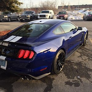 Rear Passenger