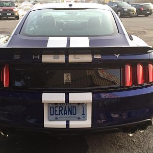 Rear