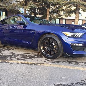 Front Passenger