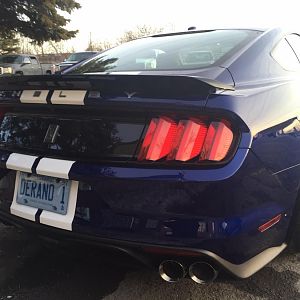 Rear