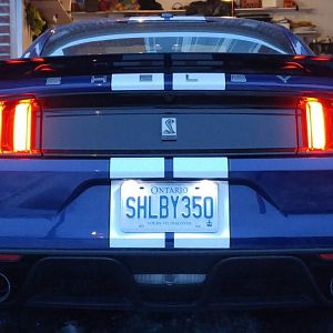 Rear with new plates