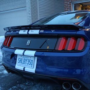 Rear Passenger