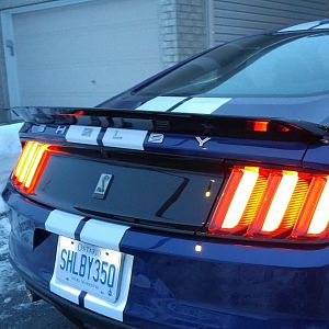 Rear Passenger