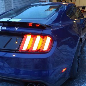 Rear Passenger