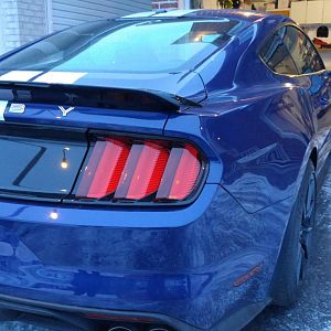 Rear Passenger