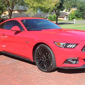 New Mustang