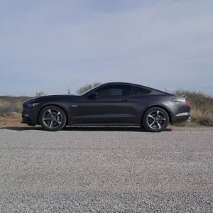 CB005 + Steeda Black Diff Bushing Inserts