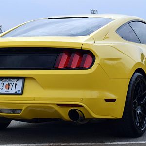 FS01 Right Rear