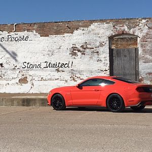 mustangCO