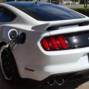 Fueling the Beast
