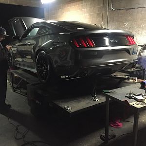 Dyno time stock baseline pull