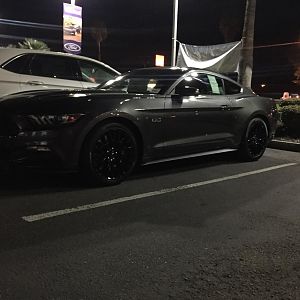 The day I got my first mustang