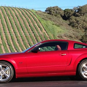 2006 Mustang Feb 2016   1 copy