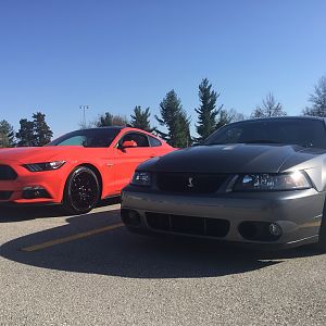 2016 Mustang GT
2003 Cobra Terminator