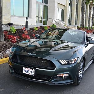 DSC 2585