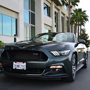 DSC 2587