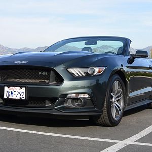 DSC 2600
