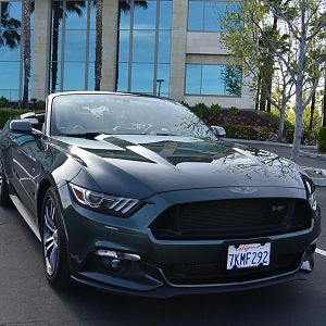 DSC 2606