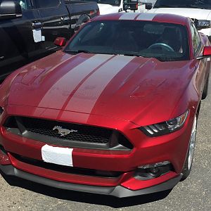2016 GT 01 copy