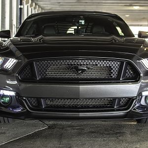 2016 03 25 2015 Mustang 039