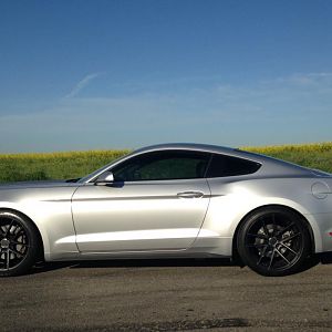 Lowered on Steeda sport linears (GT version).