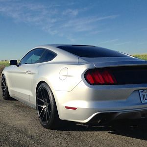 Quarter rear view