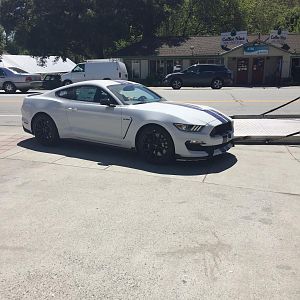Delivery day