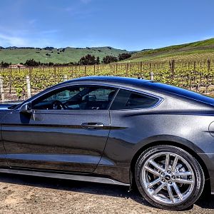 Mustang Ecoboost at home in the Napa Valley.