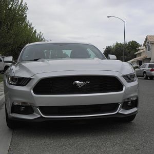 Mustang E1