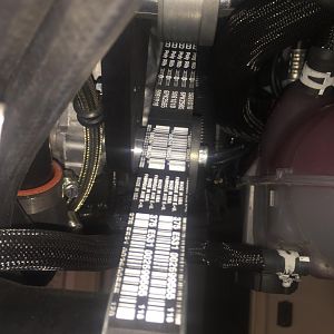 Dayco Polyrib Belt had a squeal after 3 days of use.
Trying to find a better belt.