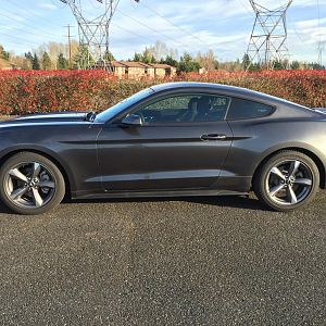 Profile View