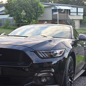 Paint Protection Front View
