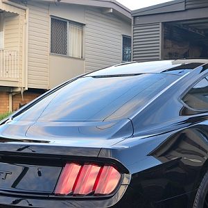 Paint Protection Rear View