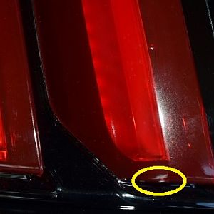 Tint Left Side