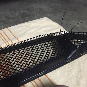 IMG 3590 1