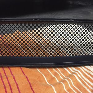 IMG 3592 1