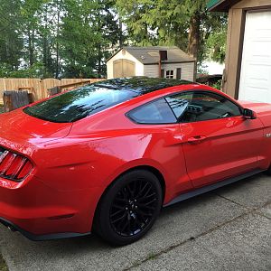 2016 GT PP Race Red w/Black Roof