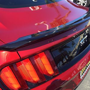 Steeda Q750 StreetFighter Spoiler