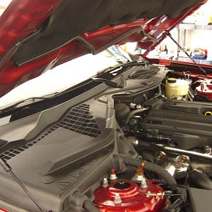 hood struts installed