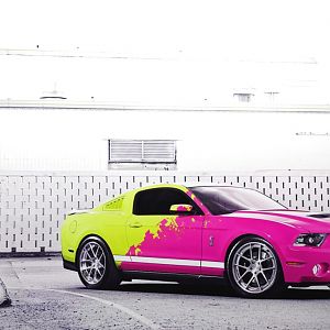 PinkYellowStang