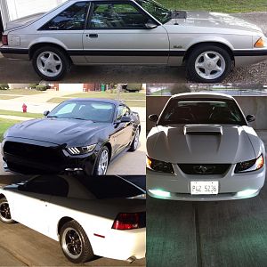 Every Stang I ever owned to date #Historytopresent