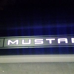 Scuff plate
