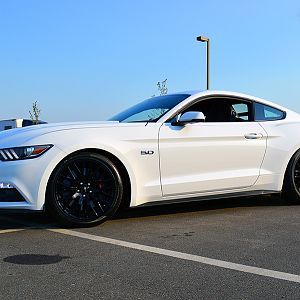 DSC 0665a